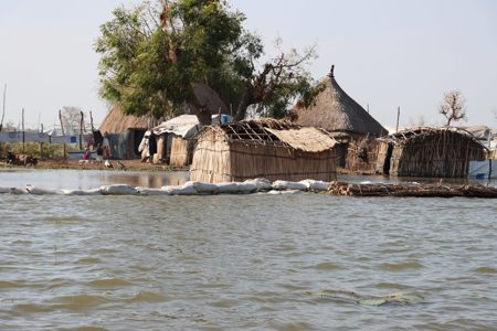 Südsudan unter Wasser: St. Galler Kirche hilft