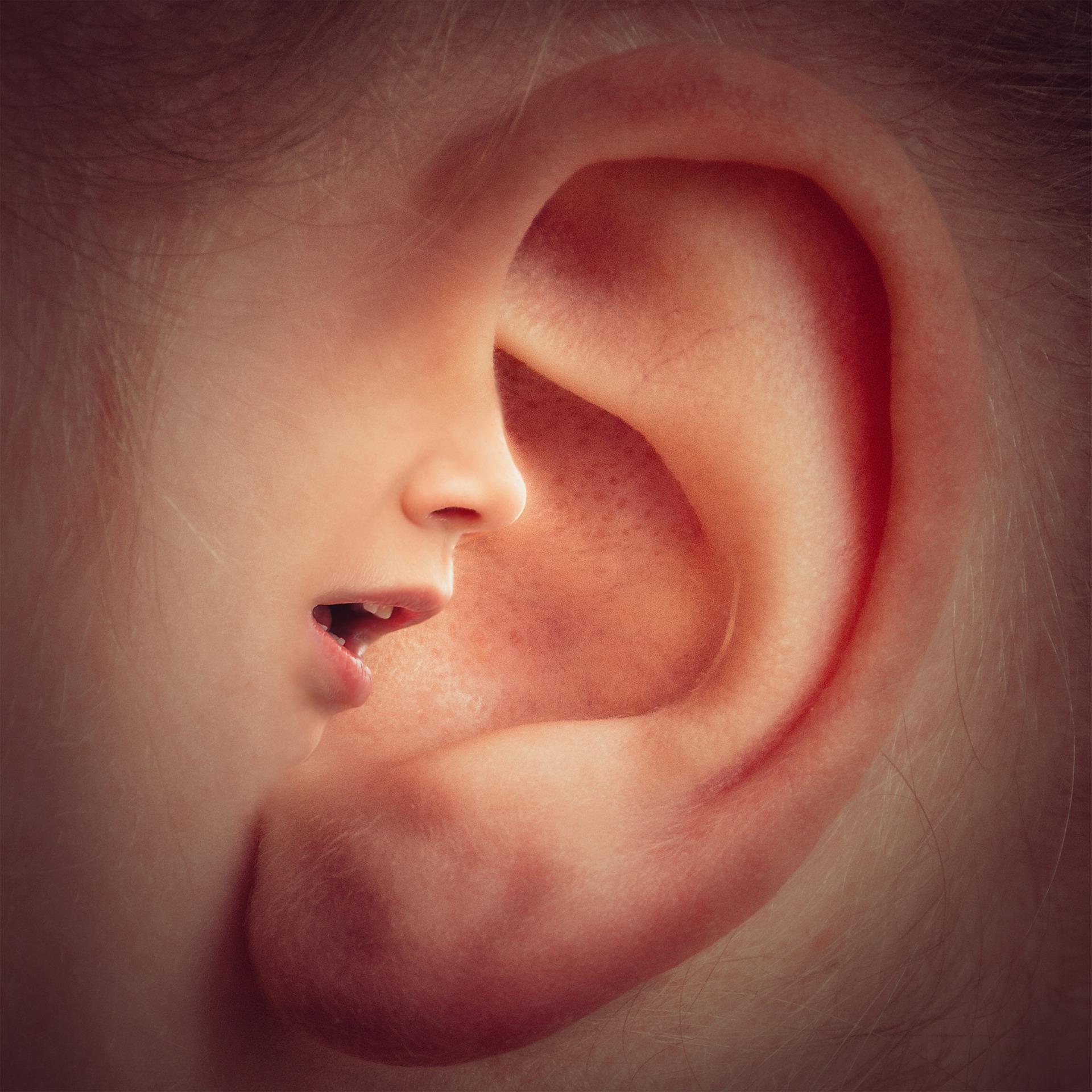 ear-3971050_1920.jpg (1)