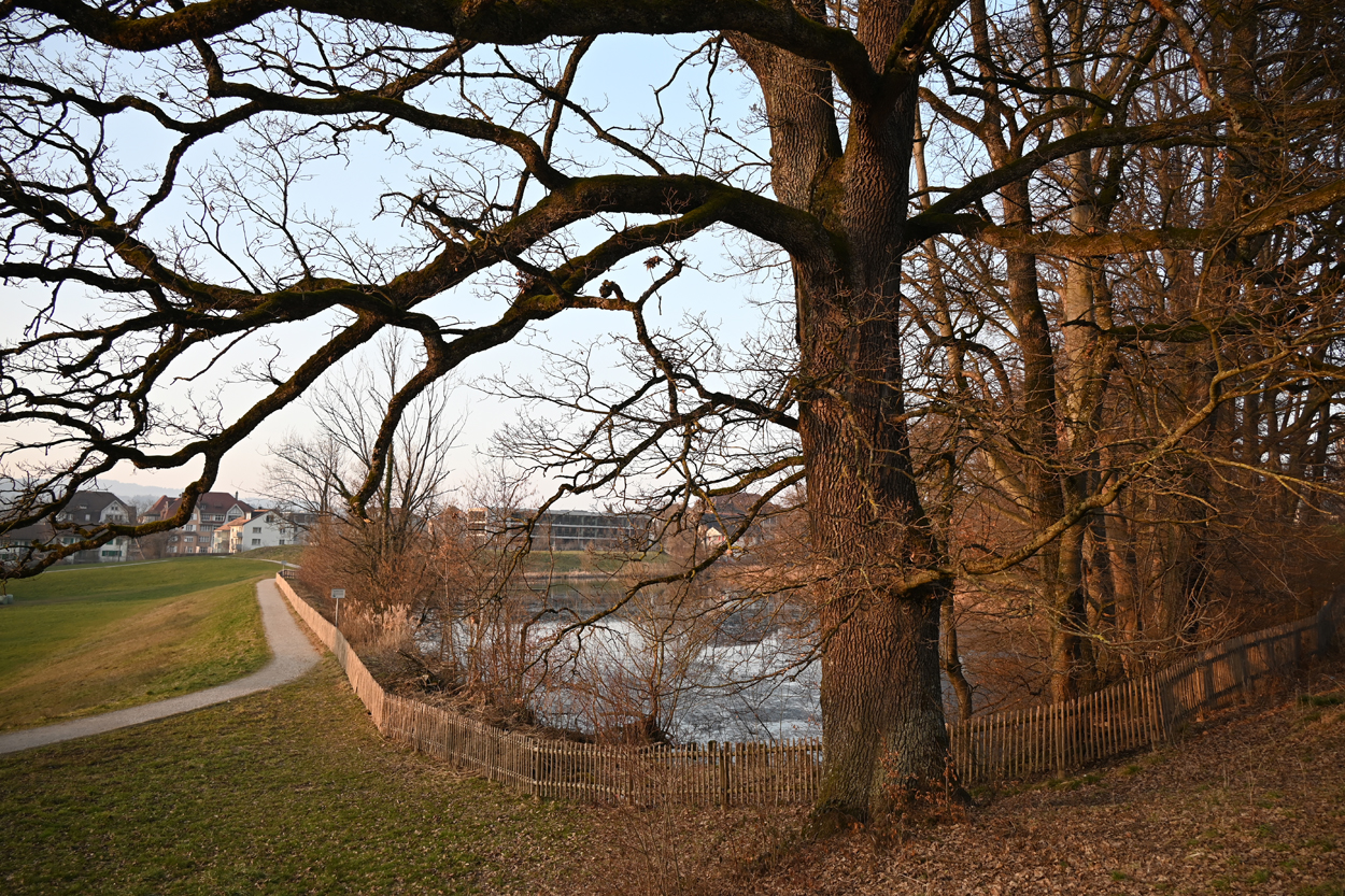 St Gallen Burgweiher Pilgerrorate